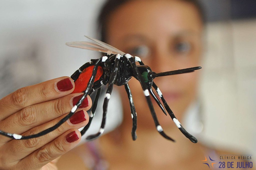 dia_d_contra_o_zica_virus_renata_gamoa_entomologista_da_ufrn_7